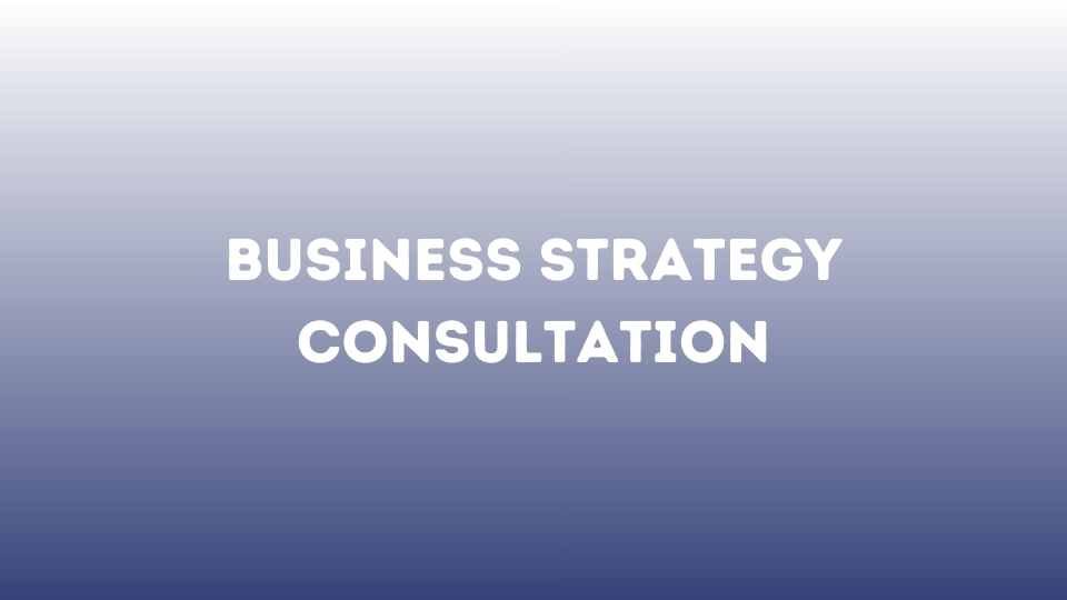 Business Strategy Consultation